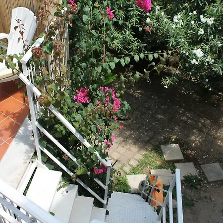 Darimapa House * Mondello