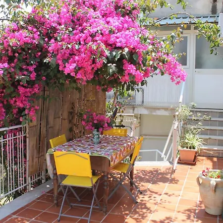 Дом отдыха Darimapa House