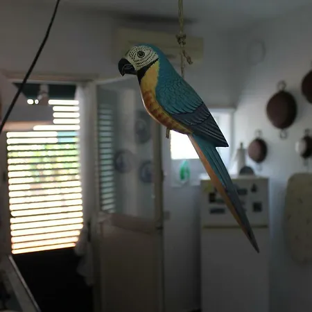 Darimapa House Дом отдыха