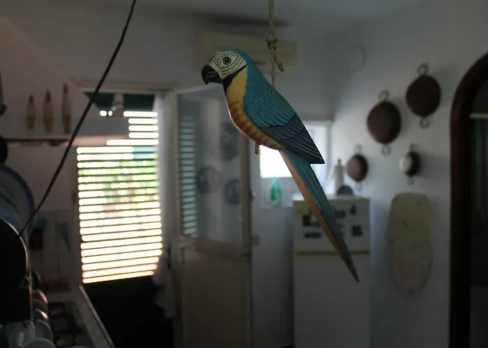 Darimapa House Nyaraló